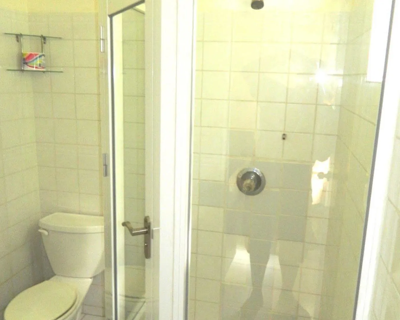 Saint Vincent Skyblue Beach Apartments מלון